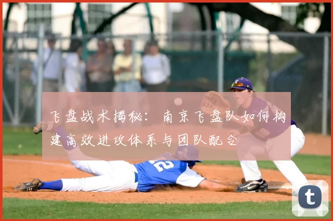 飞盘战术揭秘：南京飞盘队如何构建高效进攻体系与团队配合