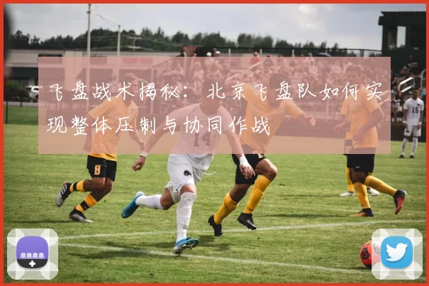 飞盘战术揭秘：北京飞盘队如何实现整体压制与协同作战