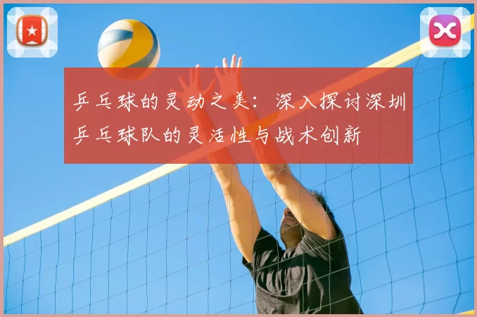 乒乓球的灵动之美：深入探讨深圳乒乓球队的灵活性与战术创新