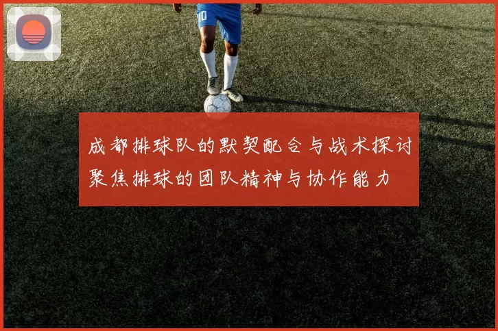 成都排球队的默契配合与战术探讨聚焦排球的团队精神与协作能力
