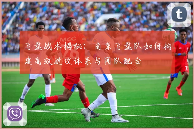 飞盘战术揭秘：南京飞盘队如何构建高效进攻体系与团队配合