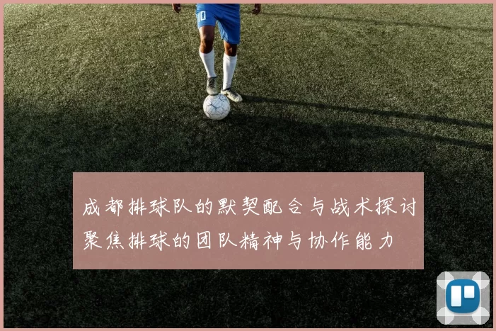 成都排球队的默契配合与战术探讨聚焦排球的团队精神与协作能力