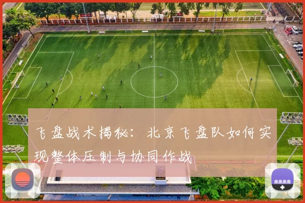 飞盘战术揭秘：北京飞盘队如何实现整体压制与协同作战